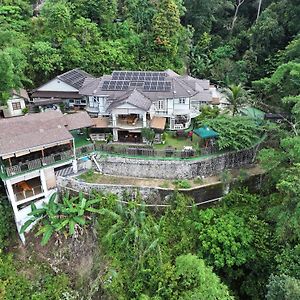 Hickory Penang Hill